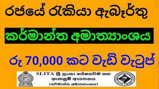 government job vacancy 2024/රැකියා ඇබෑර්තු /@dakshinaweerakoon9577