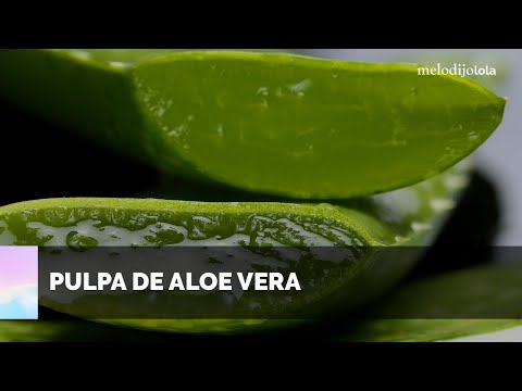 Extracción y conservación de pulpa de aloe vera | melodijolola