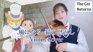 【バイオリン×ジブリ】風になる/つじあやのｰ猫の恩返しｰ ││【Violin×Ghibli】Become the Wind(Kaze ni Naru)ｰThe Cat Returnsｰ