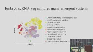 Celebrity A whole embryo single cell transcriptomic atlas Net Worth