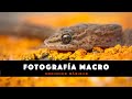 Capítulo 15: Fotografía Macro - Nociones Básicas