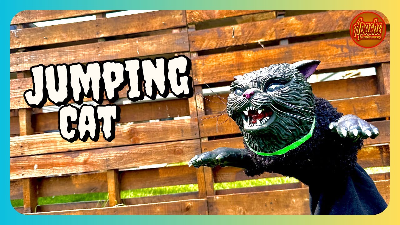 Прыгающий кот из Spirit Halloween 2014 🎃