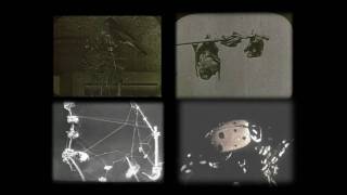 Using storm-chasing weather radar to track bats screenshot 4