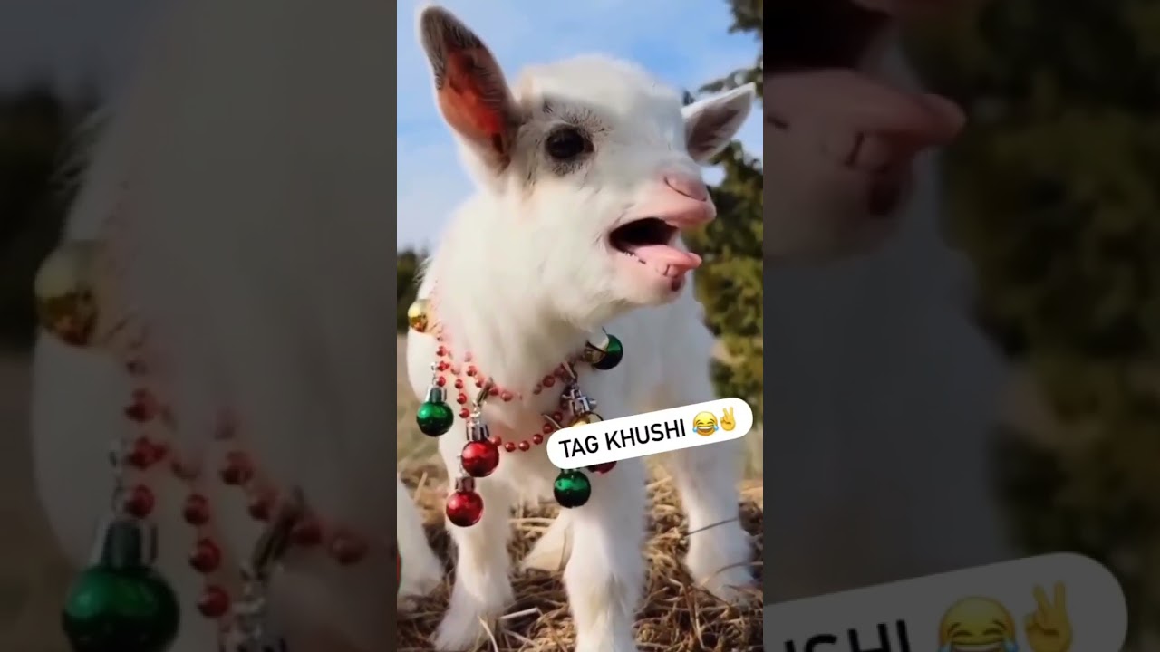 Tag Khushi ll Comment Your Name ll 