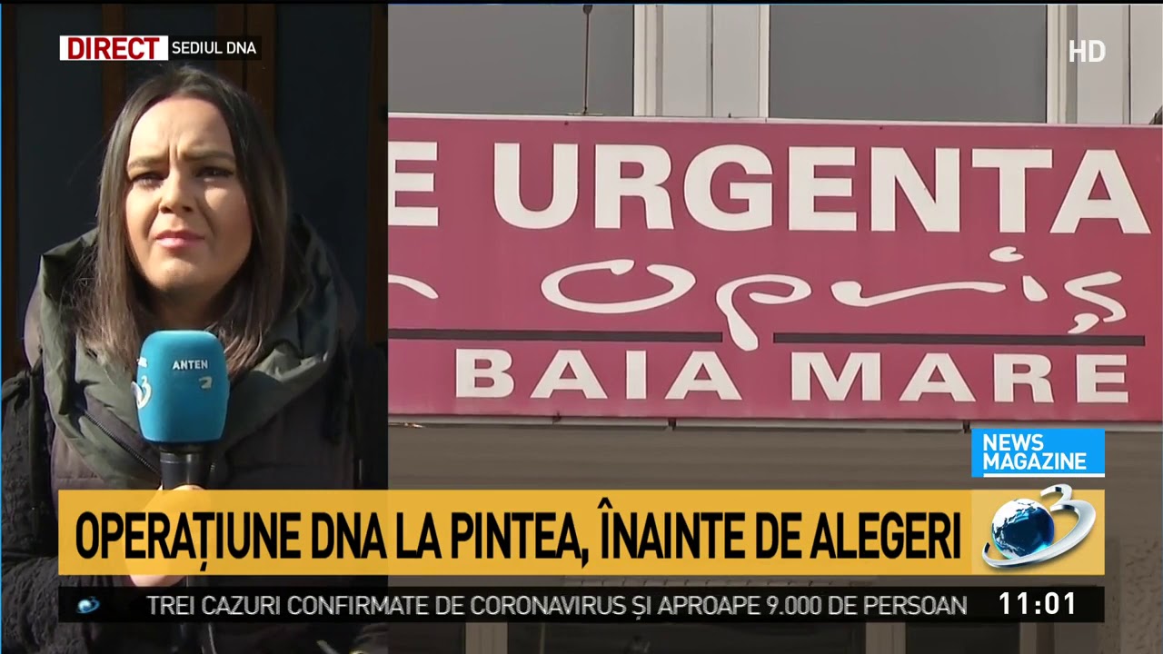 Sorina Pintea nregistrat De DNA Printr un Intermediar El nsu i 