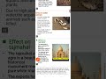 Acid rain (अम्लीय वर्षा)full details notes importance for school college and m.sc