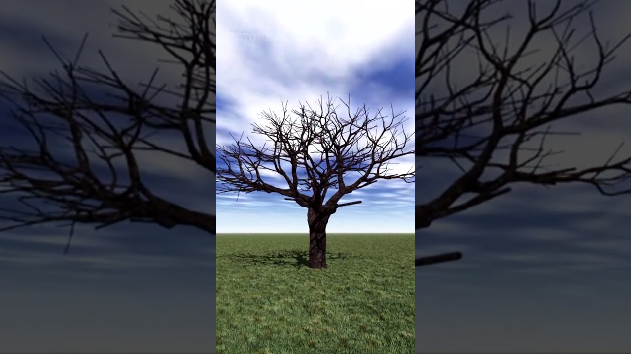 5 Study Apps That Actually Work | Study Smarter in 2025