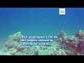 União Europeia lança plano de 92 milhões para rede global de vigilância dos oceanos