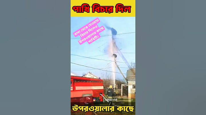 সোশ্যাল মিডিয়ার সবচেয়ে ভাইরাল ভিডিও😭social media viral videos #tranding #shortsvideo