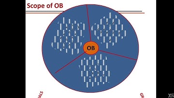 SAITM BBA SEM 2 ORGANIZATIONAL BEHAVIOUR UNIT 1 LECTURE 1