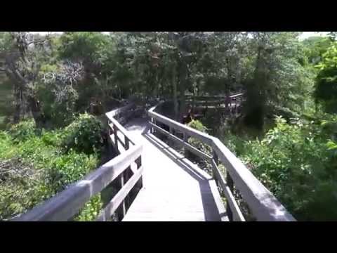 Sunken Forest at Fire Island National Seashore July 2015