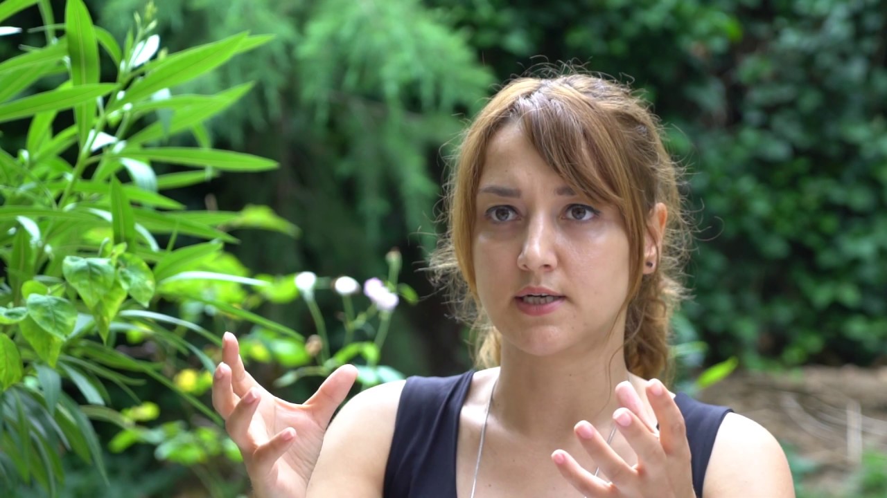 Fatoş Ateş - Hatasız Alan Oyunu