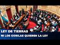 💥 ¡LA LEY DE EXTRANJERIZACIÓN UNIÓ LA GRIETA! LILITA DESTRUYÓ LA LEY DE TIERRAS