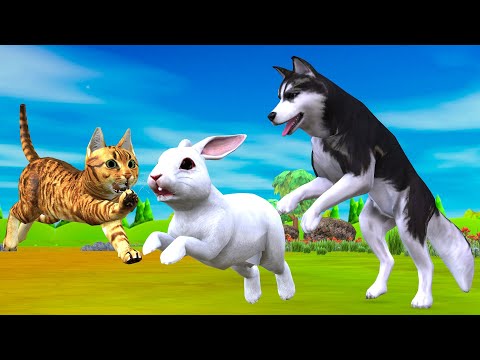 बिल्ली मूर्ख कुत्ता खरगोश hindi kahaniya हिंदी कहानि- Panchatantra Moral Stories - Hindi fairy tales