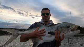 GIANT GARRICK! More RIVER MONSTERS in the Eastern Cape of South Africa. Light Tackle Estuary Fishing