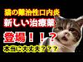 【FIP治療】猫の口内炎に海外未承認薬？“新しい薬”に飛びつく前に聞け｜第163話＠猫伝染性腹膜炎
