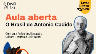 Aula Aberta - O Brasil de Antonio Candido (com Luiz Felipe de Alencastro)