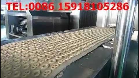 soft biscuit production line / rotary moulder / soft biscuit process