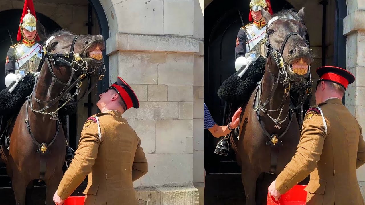 When The Kings Guard Show RESPECT & KINDESS & SPECIAL BONDS With Their Horses !