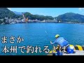 いつも行く田舎の港に、沖縄の美味しい魚が群れで現れたので真剣に釣ってみました。