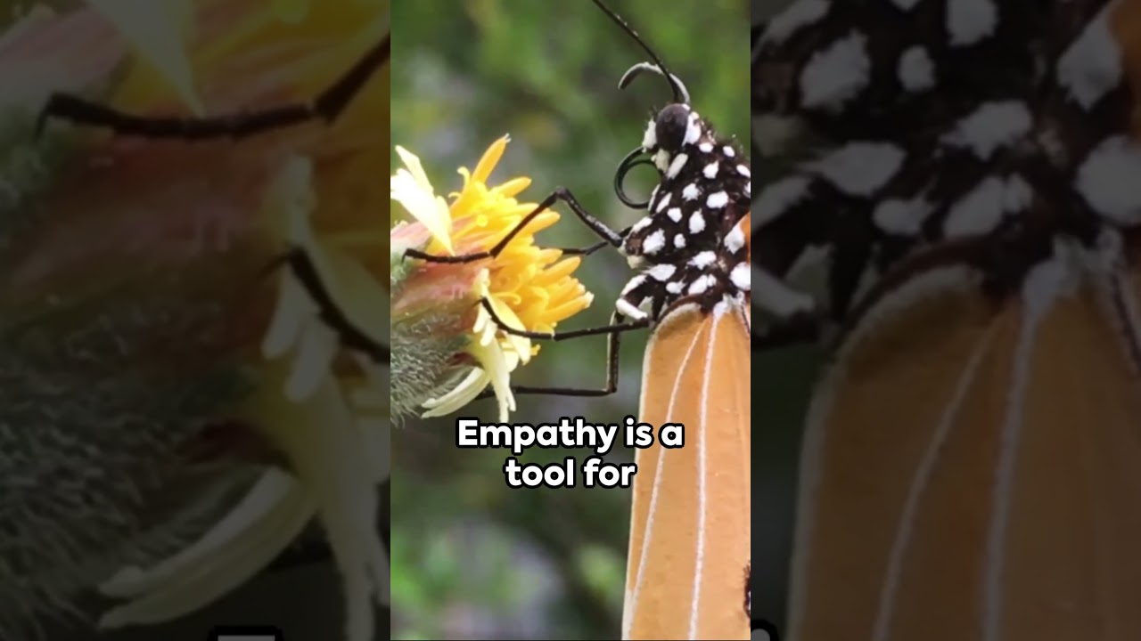 Empathy: A Journey Through Nature
