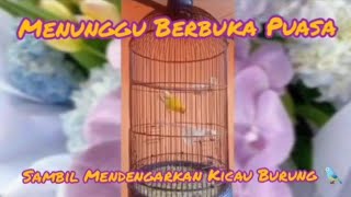 Menunggu Berbuka Puasa ...|| Mendengarkan Kicauan Burung