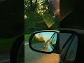 FG-M - Dust &amp; Daylight