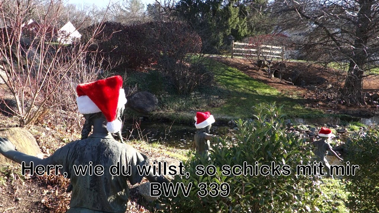 Herr, wie du willst, so schicks mit mir, BWV 339
