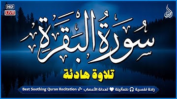 سورة البقرة طاردة الشياطين💚 تلاوة هادئة تريح الاعصاب 😴 قران كريم 💚 بصوت جميل جدا || surah al baqarah