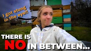 The Hardest Lesson Almond Season Is Teaching Me... #beekeeping