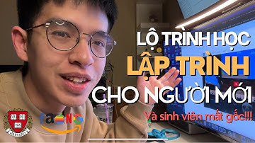Học Lập Trình Cho Người Mới Bắt Đầu | Lộ Trình 6 Tháng Trở Thành Kĩ Sư Phần Mềm Xịn