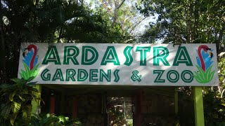 Ardastra Gardens & Zoo FULL Tour & Review with The Legend