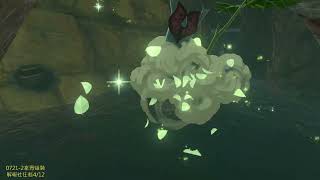 0722-2ゼルダの伝説 ティアーズ オブ ザ キングダム/The Legend of Zelda: Tears of the Kingdom/《薩爾達傳說 王國之淚》