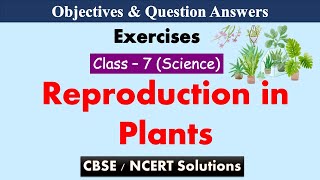 Reproduction in Plants || Class : 7 Science | Exercises & Question Answers || CBSE / NCERT
