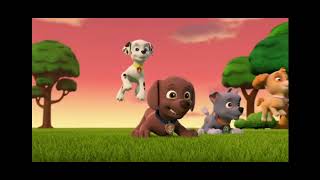PAW Patrol: The Pups Frog Race.