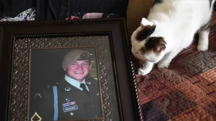 American Gold Star Mother