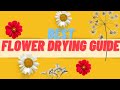 Dry Flowers 5 Ways, DIY (2019)