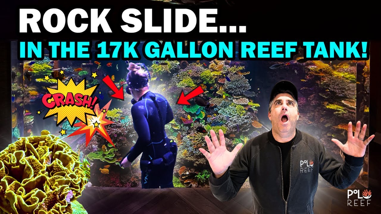 НОВЫЙ ГЛУБОКОВОДНЫЙ СКАЛИСТ, ДОБАВЛЕНЫ ГИГАНТСКИЕ КОРАЛЛЫ, НАЙДЕНЫ ТОКСИЧНЫЕ МЕТАЛЛЫ! ...И ОПОЛЗЕ...