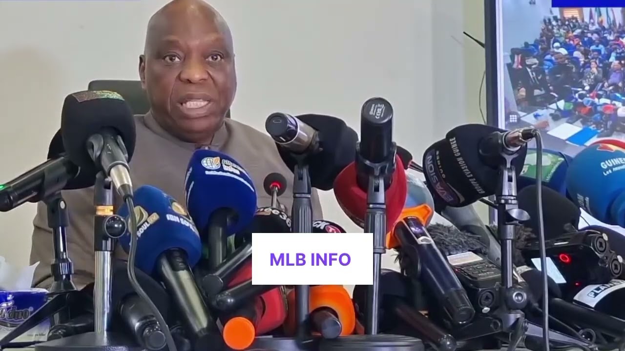 Guinéens en situation irrégulière en Allemagne : Dr Morissanda Kouyaté révèle un chiffre clé