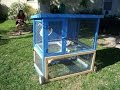 Rabbit Hutch for Free! Rabbit Hutch for Free!