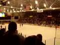 Scsu huskies hockey goal
