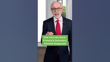How Vaccines Work: Primary & Secondary Immune Responses 🦠🔬