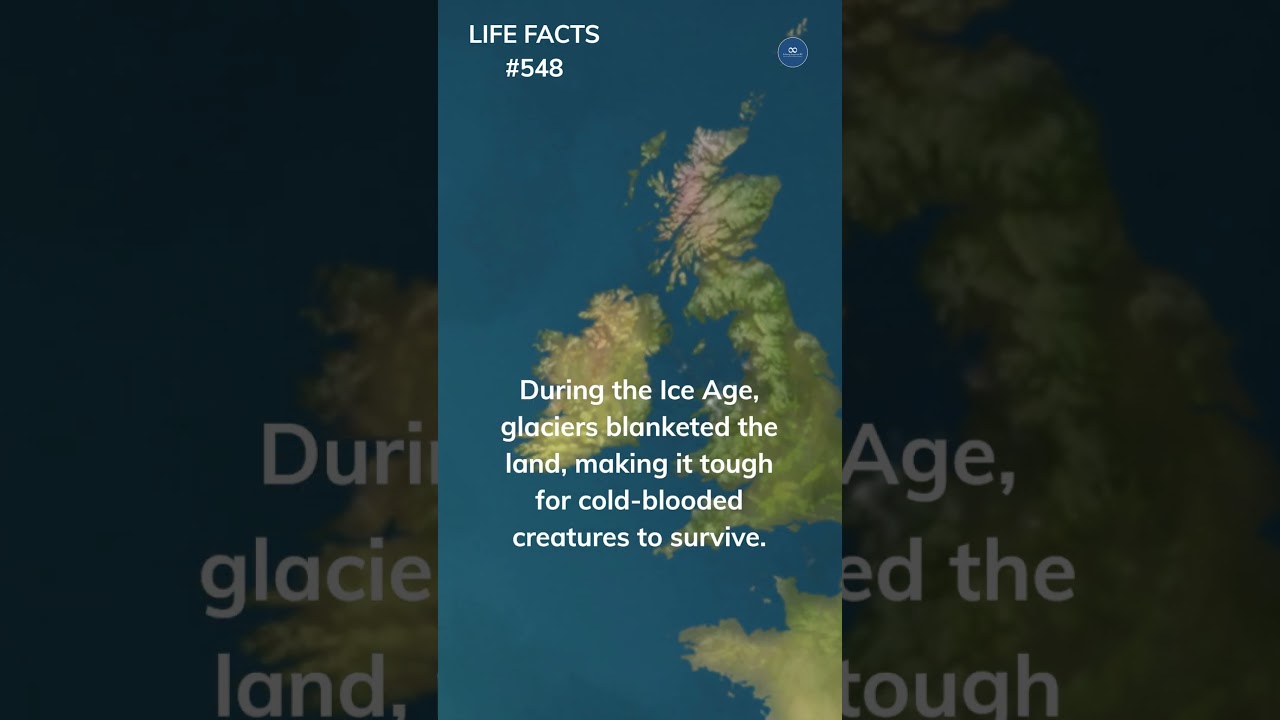 548. Island Isolation: Why Can't Some Places Keep Snakes Around?