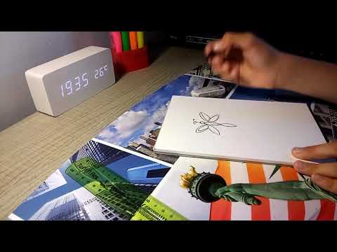 Vidéo: Comment Dessiner Une Libellule Sur Vos Ongles