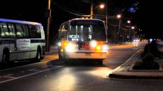 Mta New York City Bus Rts-06 #9650 On The B49