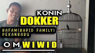 KONIN DOKKER‼️OM WIWID RAFAM (RAPID FAMILY) PEKANBARU RIAU | konin sumatra