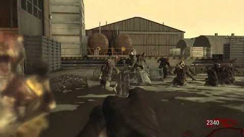 Black Ops Zombies Moon No Man