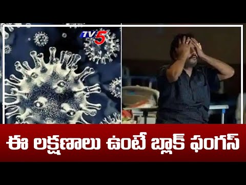 ఈ లక్షణాలు ఉంటే బ్లాక్ ఫంగస్: AIIMS Releases New Guidelines Over Black Fungus | TV5 News