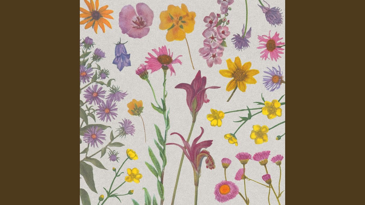 Watch Flowers on YouTube Watch Flowers on YouTube