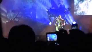 Shadow of the Day - Linkin Park - Carnivores Tour - 2014-08-23